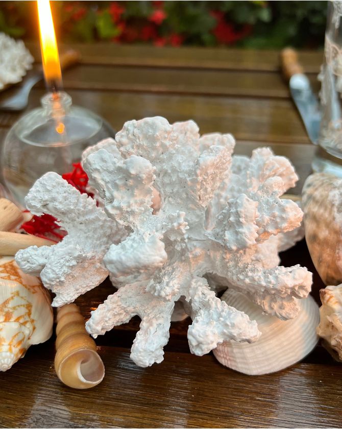 Raiz De Coral Decorativa Branca - P