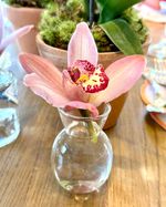 IMG_1175