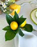 IMG_0095