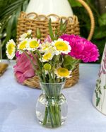 IMG_8984