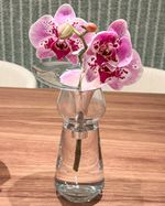 IMG_7722