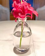 IMG_2634