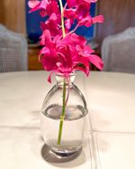 IMG_2632