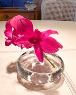 IMG_2642