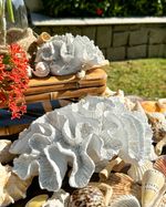 IMG_9967