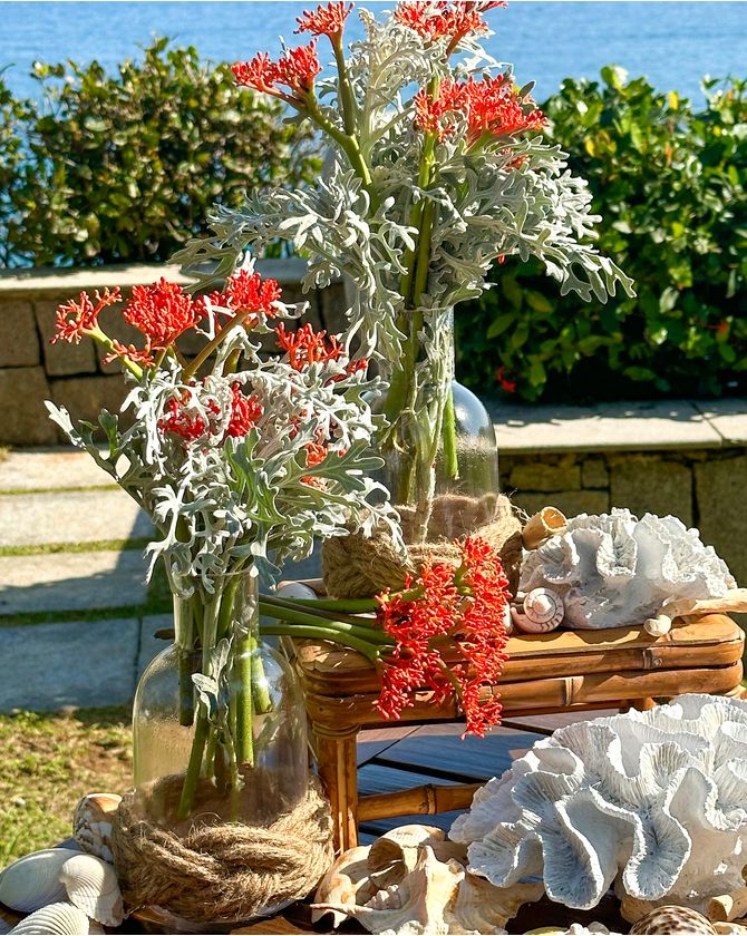 Raiz De Coral Decorativa Esponja Branca - G