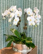 IMG_0481
