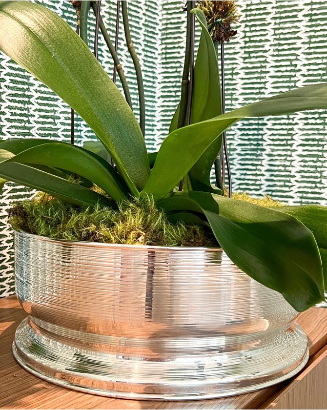 Centro De Mesa Prata Spin St James M 33 X 13 Cm