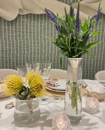 IMG-0680