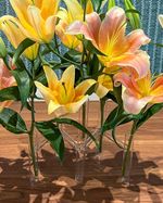 IMG_5098