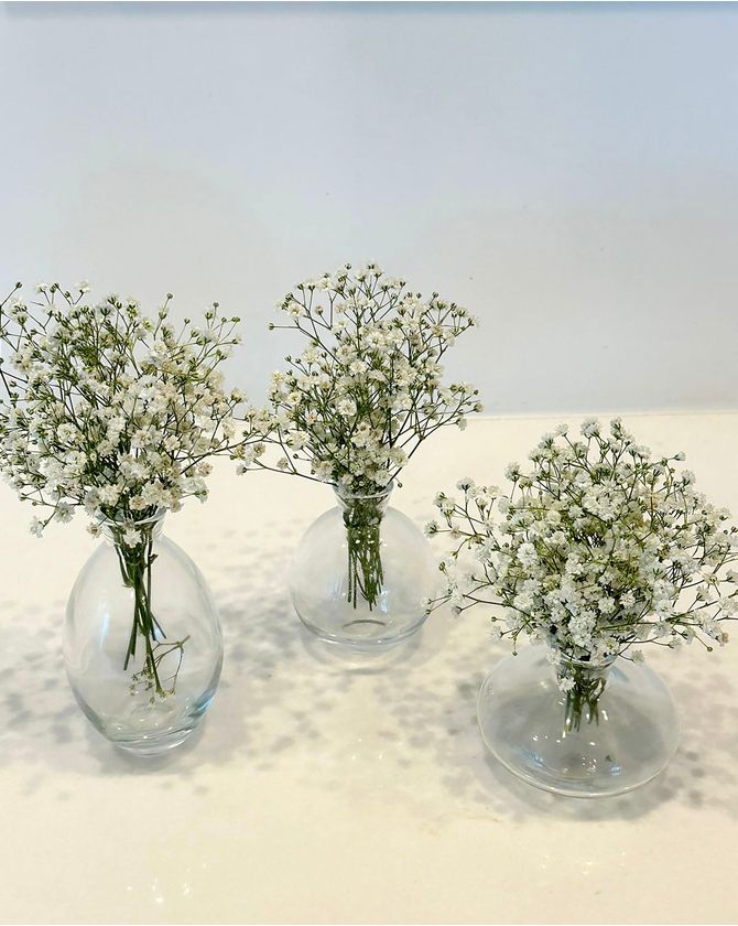 Vaso vidro oval