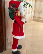 IMG_2618_jpg