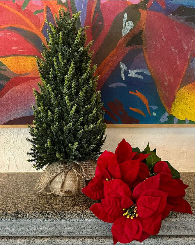 Topiaria base juta Natal 2024 - G 60cm