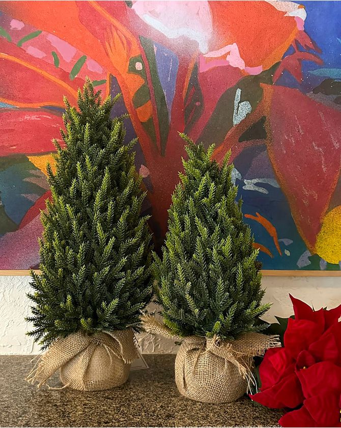 Topiaria base juta Natal 2024 - G 60cm