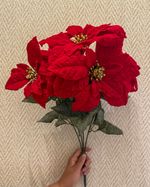 IMG_4155