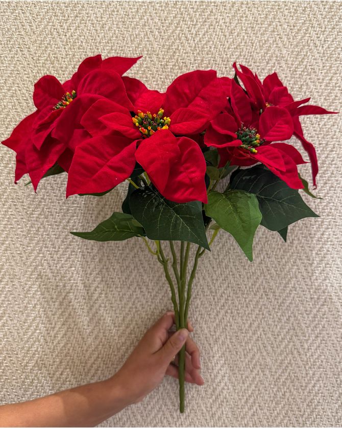 Bouquet bico de papagaio vermelho aveludado Natal 2024