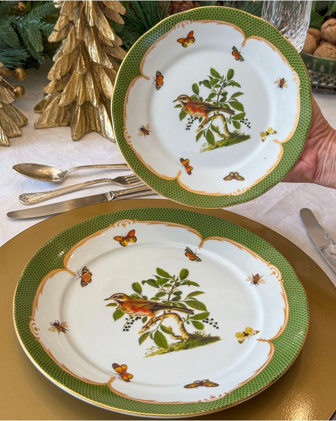 Prato raso porcelana pássaros verde