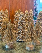 IMG_6597
