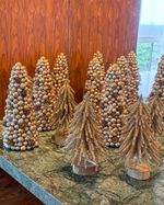 IMG_6546