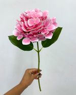 IMG_3791