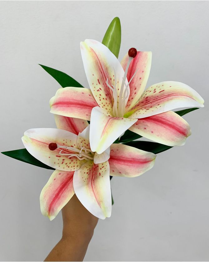 Lírio haste - rosa claro