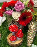IMG_1032.jpg