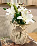 IMG_8715
