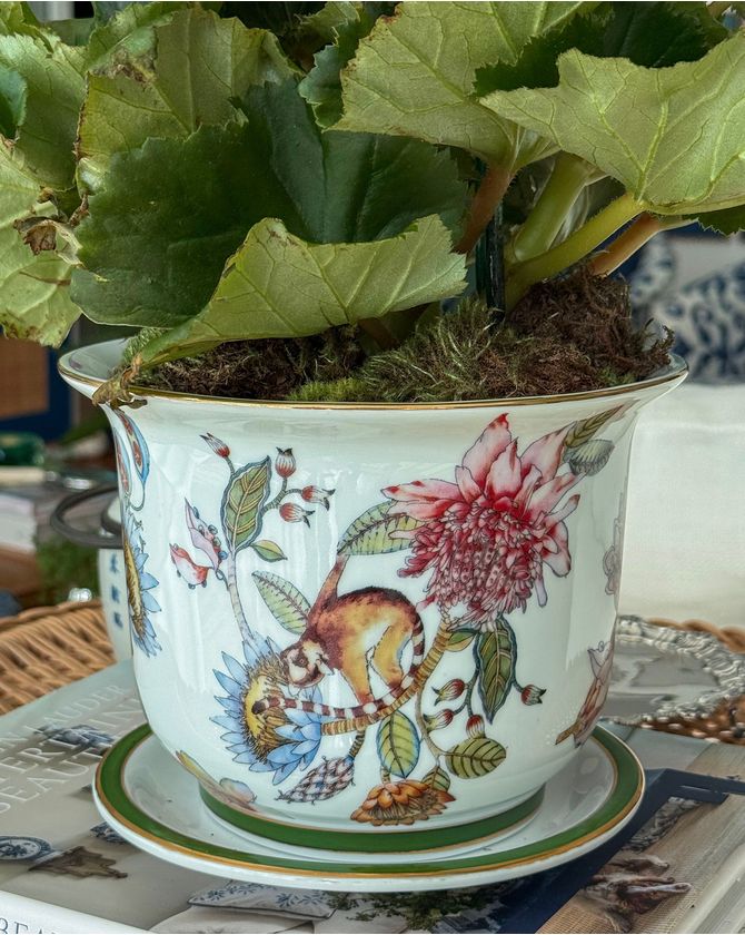 Vaso cachepot com prato porcelana Botanic