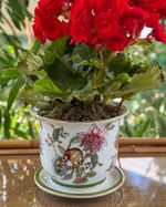 IMG_3994_jpg