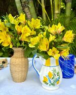 IMG_9160